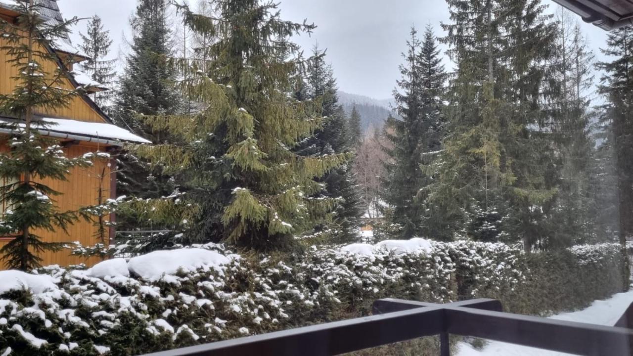Apart4You Apartamenty Bulwary25 Zakopane Buitenkant foto