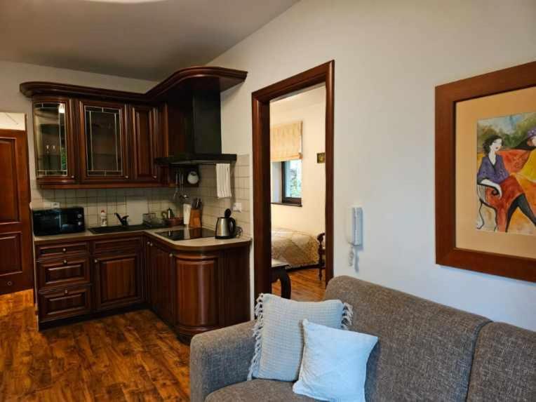 Apart4You Apartamenty Bulwary25 Zakopane Buitenkant foto