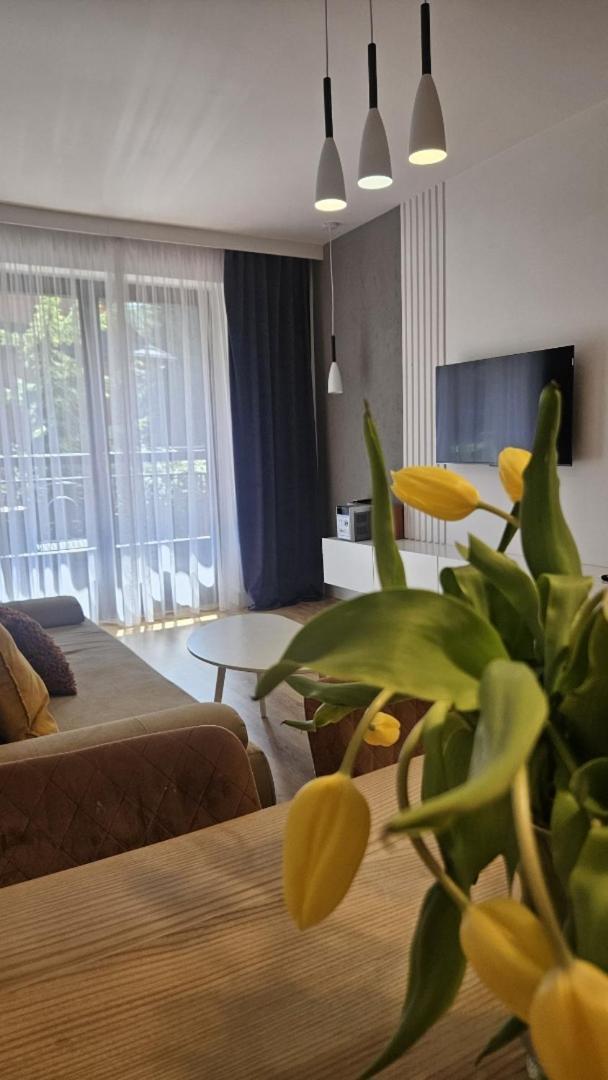 Apart4You Apartamenty Bulwary25 Zakopane Kamer foto